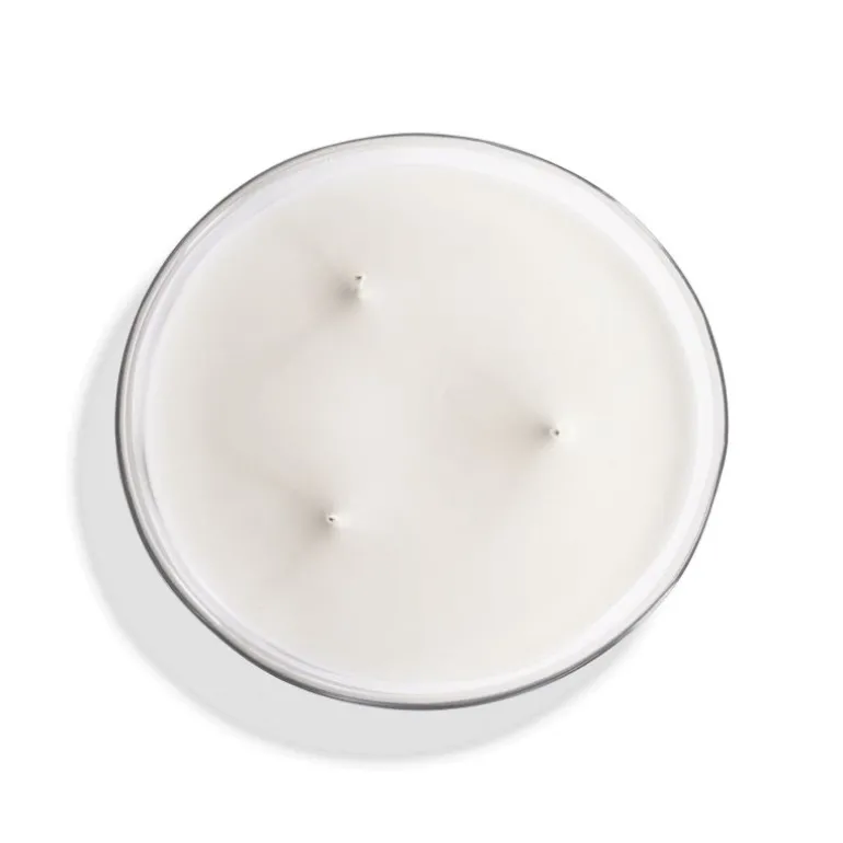 figuier_de_sicile_large_s_1.webp Mizensir Parfums Figuier de Sicile  | Large scented candle