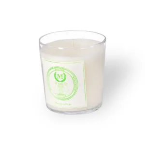 Mizensir Parfums Menthe à l'Eau | Scented candle
